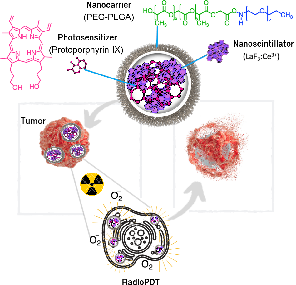 RadioPDT nanoparticle mechanism diagram